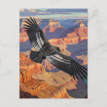 Condor i Grand Canyon nationalpark