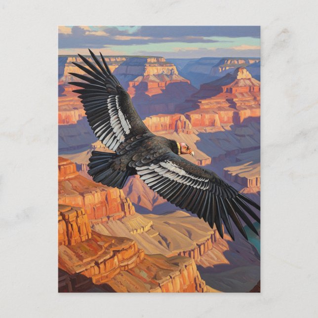 Condor i Grand Canyon nationalpark Vykort (Framsida)