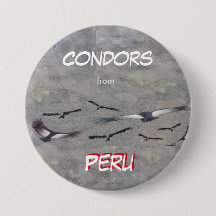 Condors from Peru Button
