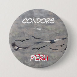 Condors from Peru Button Knapp
