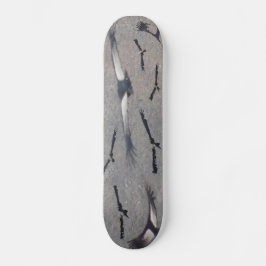 CondorSkateboard Skateboard Bräda 19,5 Cm