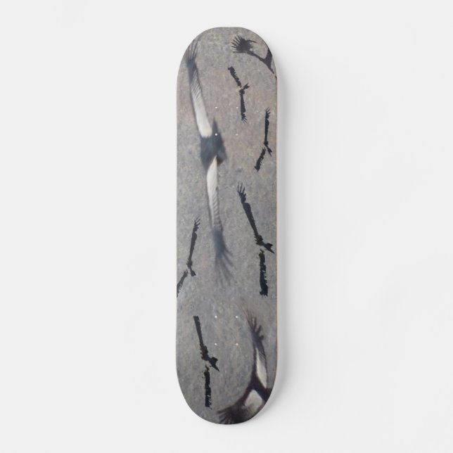 CondorSkateboard Skateboard Bräda 19,5 Cm (Framsida)