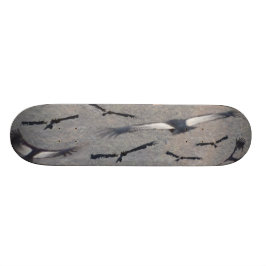CondorSkateboard Skateboard Bräda 19,5 Cm