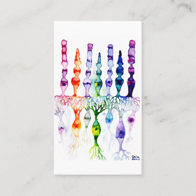 Cone cells rod cells and bipolar neurons of retina visitkort (Framsida)