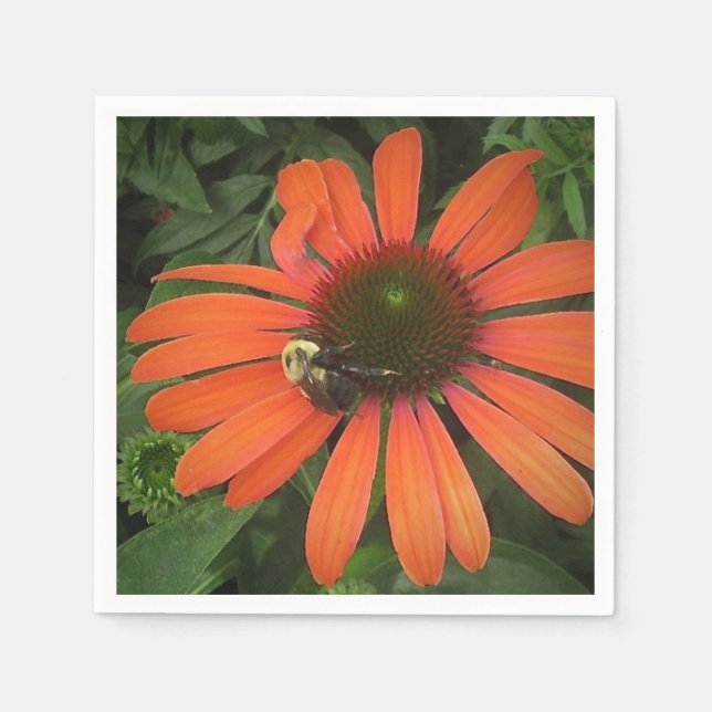 Cone Flower Napkin Pappersservett (Framsidan)