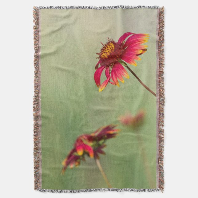 Cone Flowers börjar blomma Filt (Framsidan Vertikal)