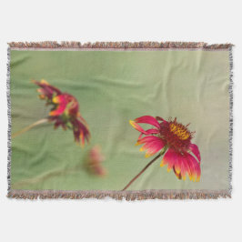 Cone Flowers börjar blomma Filt