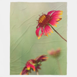 Cone Flowers börjar blomma Fleecefilt