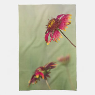 Cone Flowers börjar blomma Kökshandduk