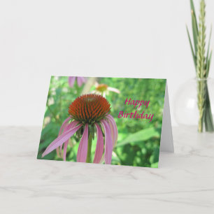Coneflower födelsedagkort kort