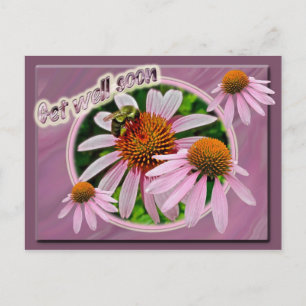 Coneflower Get well Snart Vykort