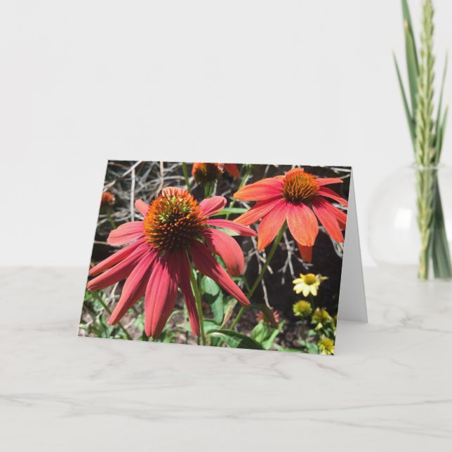 Coneflower Greeting Card Kort (Framsida)