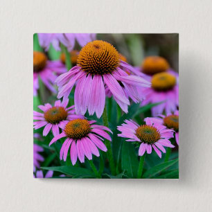 Coneflower Knapp
