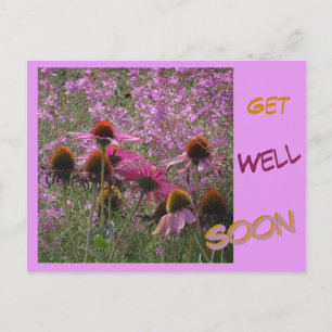 Coneflowers Cust. Texthämta snart vykort