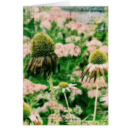Coneflowers Grunge Hälsningskort