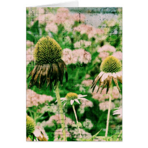 Coneflowers Grunge Hälsningskort