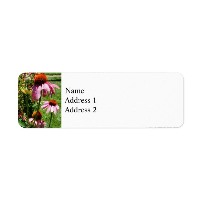 Coneflowers i Garden Returadress Etikett (Framsidan)