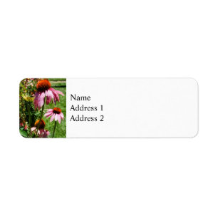 Coneflowers i trädgård returadress etikett
