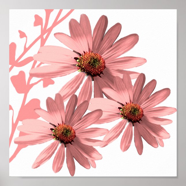 ConeFlowers Poster (Framsidan)