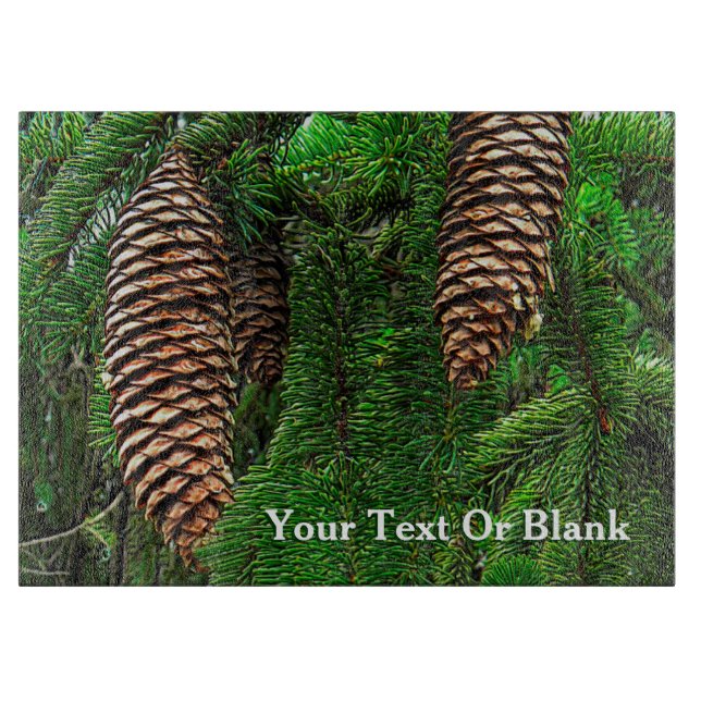 Cones och Nål (Framsidan)