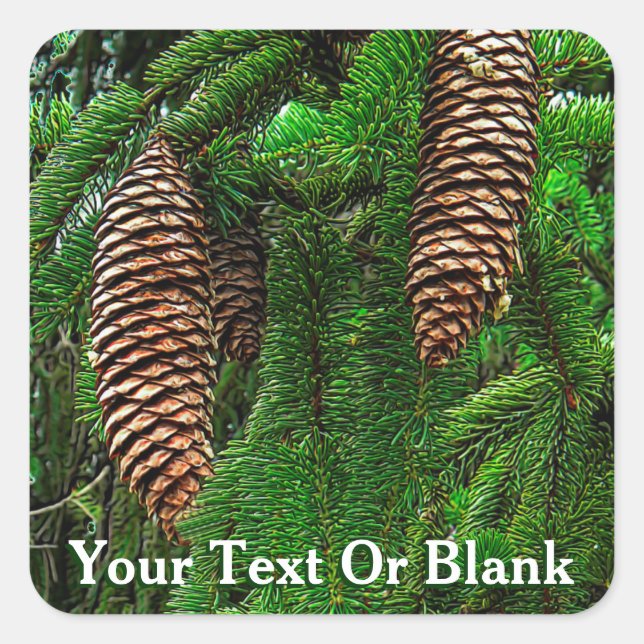 Cones och Nål Fyrkantigt Klistermärke (Framsida)