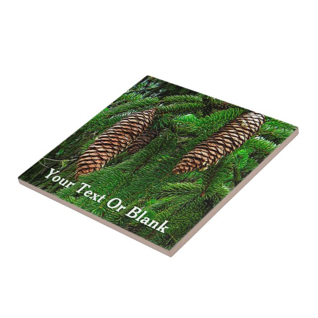 Cones och Nål Kakelplatta (Sidan)