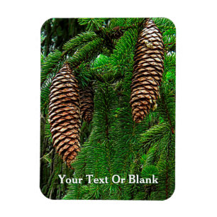 Cones och Nål Magnet