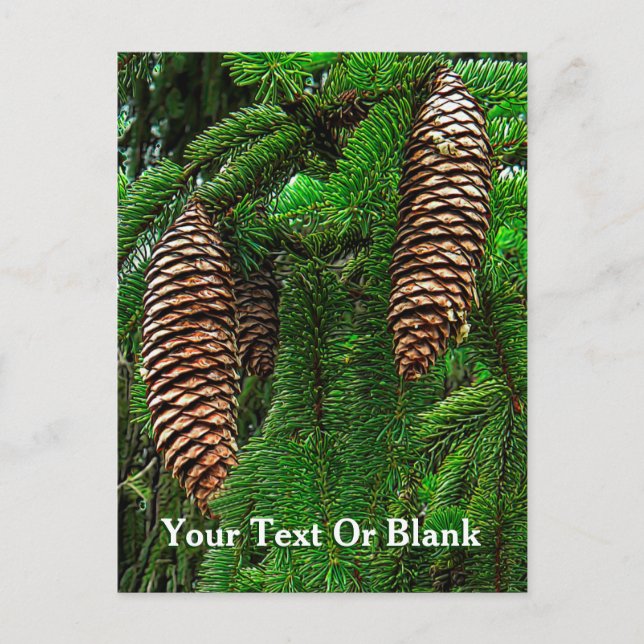 Cones och Nål Vykort (Framsida)