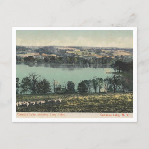 Conesus Sjö NY, Long Point View 1905 Vykort
