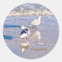 Coney Island Måsar