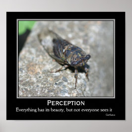 Confucius Quote Beauty Cicada Motivational Poster