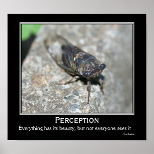 Confucius Quote Beauty Cicada Motivational Poster
