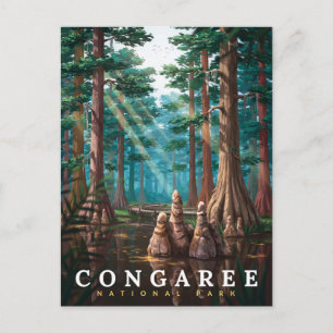 Congaree National Park Cypress-skog Vykort