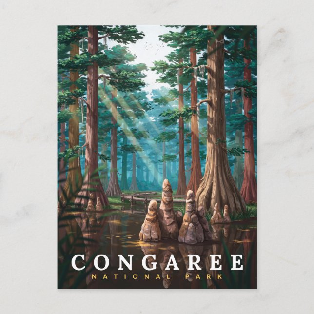 Congaree National Park Cypress-skog Vykort (Framsida)