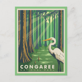 Congaree National Park SC Postcard Vykort