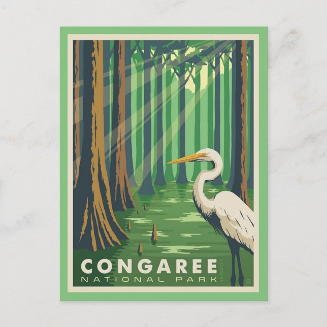 Congaree National Park SC Postcard Vykort (Framsida)