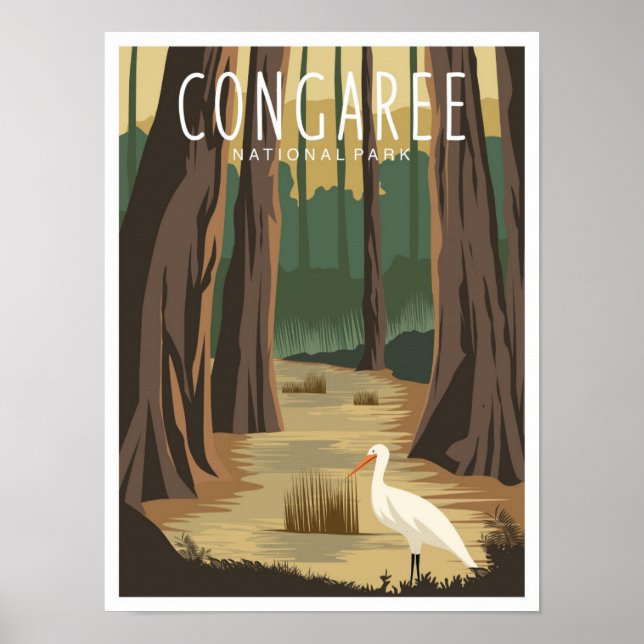 Congaree National Park South Carolina Illustration Poster (Framsidan)