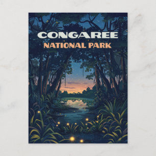 Congaree National Park Swamp South Carolina Retro Vykort