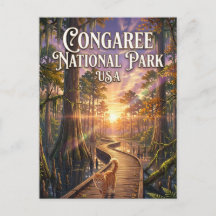 Congaree National Park USA