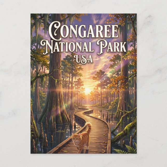Congaree National Park USA Vykort (Framsida)