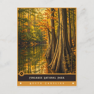 Congaree nationalpark Gammal vykort