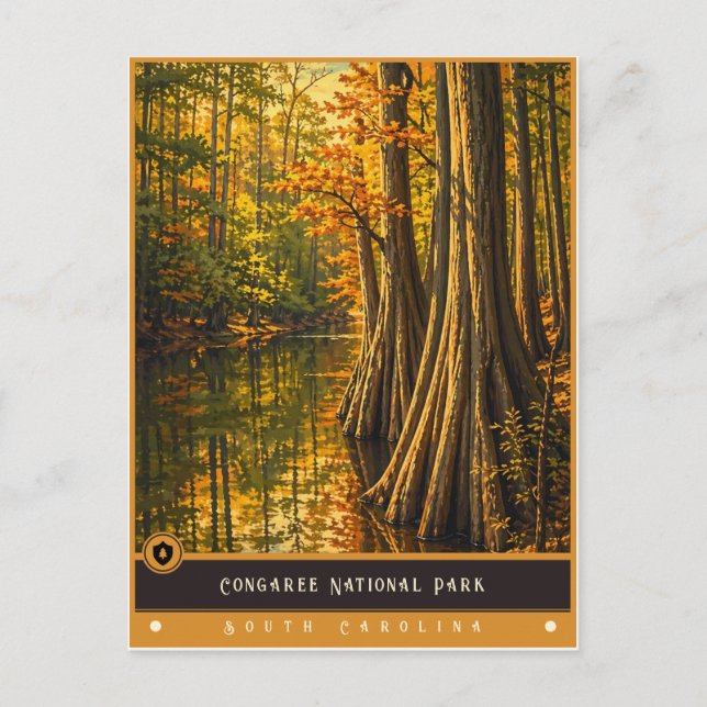 Congaree nationalpark | Gammal vykort (Framsida)