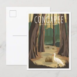 Congaree nationalpark South Carolina Illustration Vykort