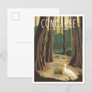 Congaree nationalpark South Carolina Illustration Vykort