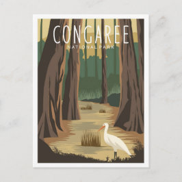 Congaree nationalpark South Carolina Illustration Vykort