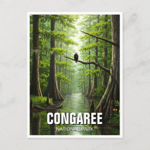 Congaree nationalpark South Carolina Travel Vykort