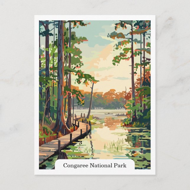 Congaree nationalpark USA vykort (Framsida)