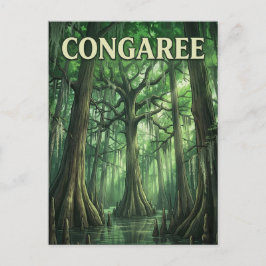Congaree-skogen Vykort