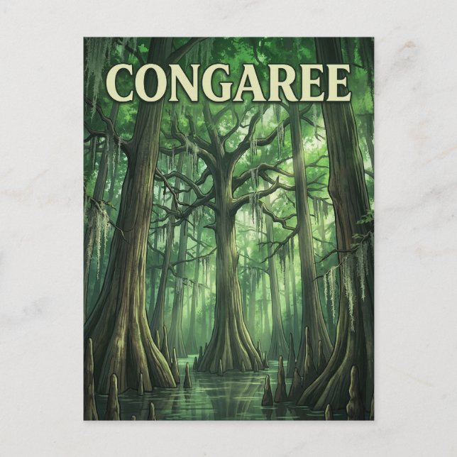 Congaree-skogen Vykort (Framsida)