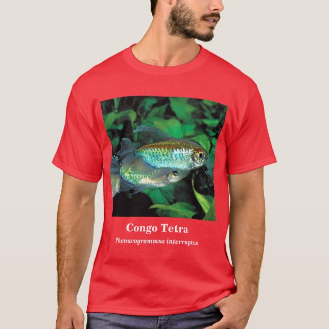 Congo tetra , Phenacogrammus interruptus T Shirt (Framsida)